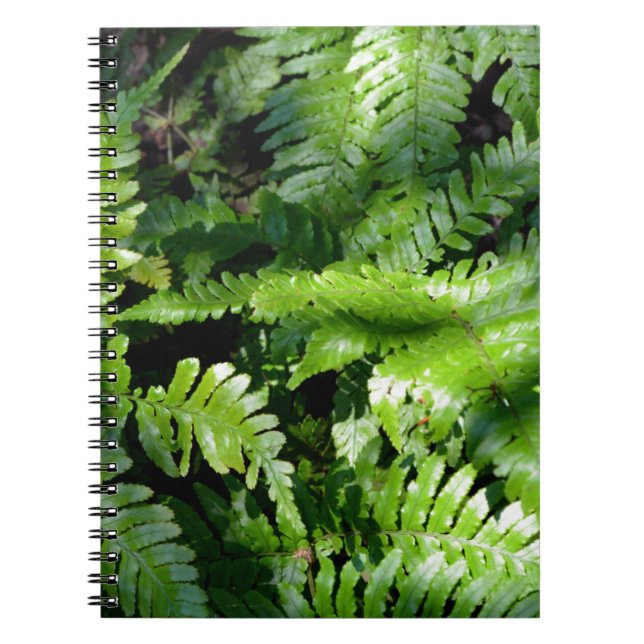Spring Green Ferns Notizblock (Vorderseite)