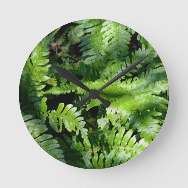 Spring Green Ferns Runde Wanduhr (Vorderseite)