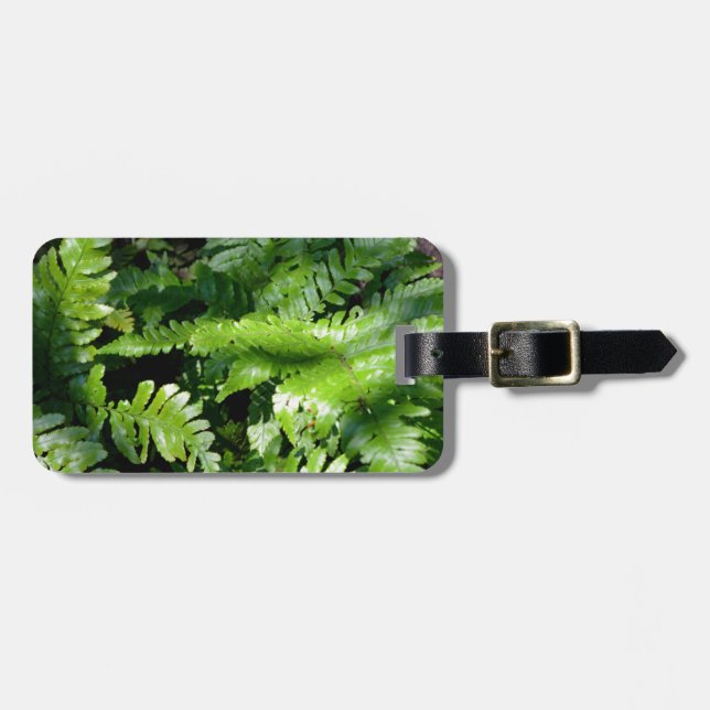 Spring Green Ferns tropische botanische Vegetation Gepäckanhänger (Vorderseite horizontal)