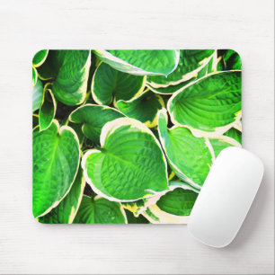 Spring Green Hosta Blätter Mousepad