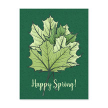 Spring Green Maple Verlasse Nature Lover
