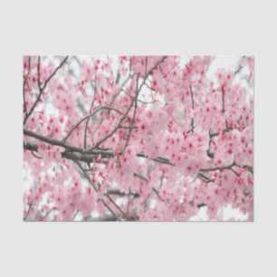 Spring Hanami Festival Seidenpapier