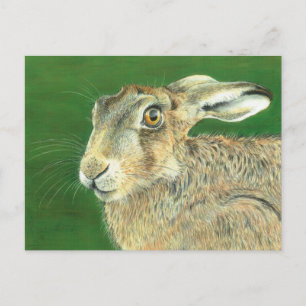 Spring Hare Postkarte