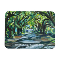 Spring Hill Uni - Avenue of the Oaks kmkirkART