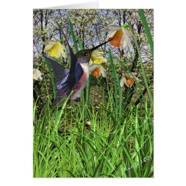 Spring Hummingbird Cards (Vorne)
