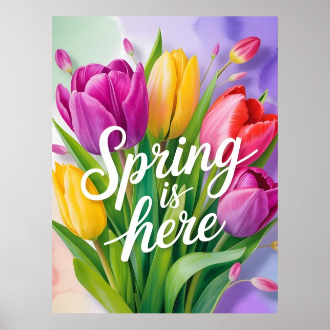"Spring is Here" Tulip Bouquet Illustration Poster (Vorne)