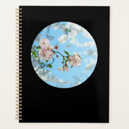 Spring Is in the Air -  Planer