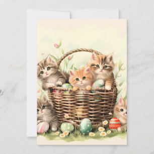 Spring Kitten Oaster Basket Ankündigung