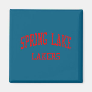 Spring Lake High School Spring Lake MI Vintage Magnet