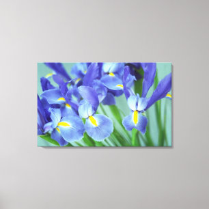 Spring Lila Irische Blume Foto Leinwand Art Print