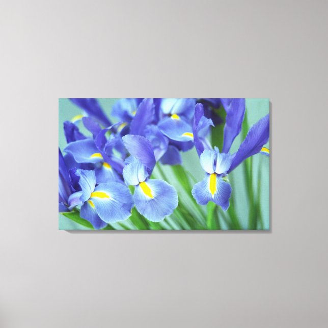 Spring Lila Irische Blume Foto Leinwand Art Print (Vorderseite)
