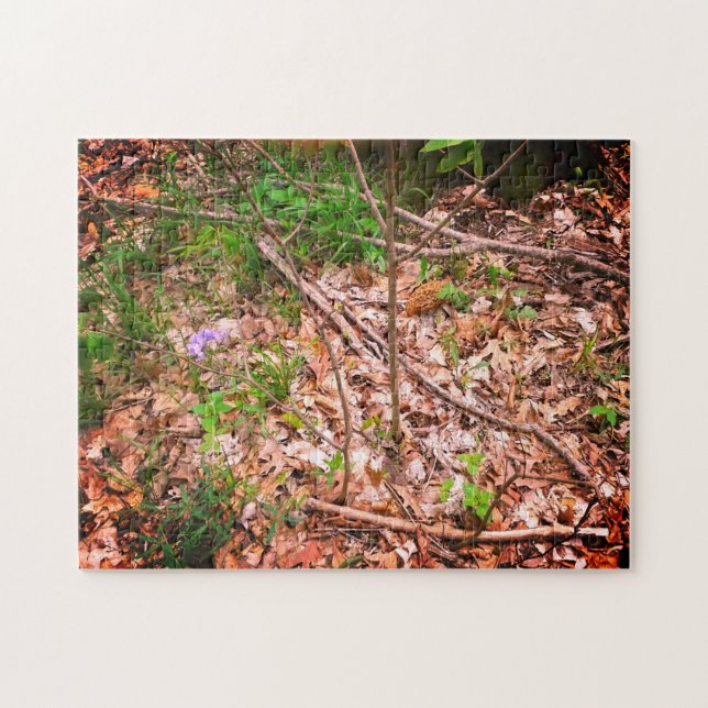 Spring Morel Hunting Puzzle (Horizontal)
