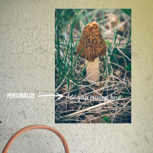 Spring Morel Mushroom Poster
