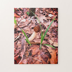Spring Morel Puzzle