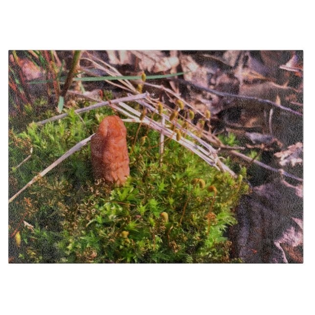 Spring Morel Schneidebrett (Vorderseite)