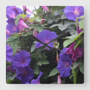 Spring Morning Glories in Blue Quadratische Wanduhr