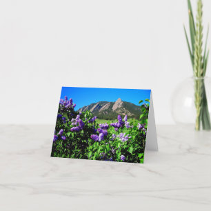 Spring Mountain Flowers
