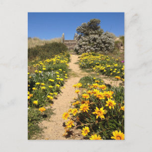 Spring Neunmeile Beach, Australien Postkarte