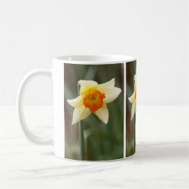 Spring Orange Daffodil Tasse