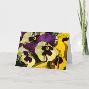 Spring Pansies Karte