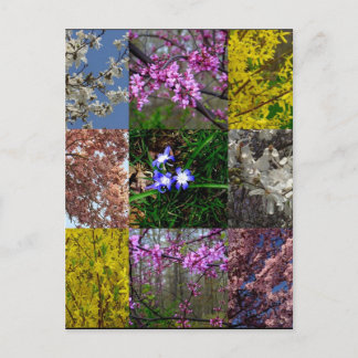 Spring Patchwork Postkarte