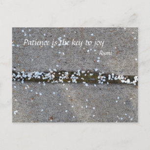 Spring Petals Rumi Joy Postkarte