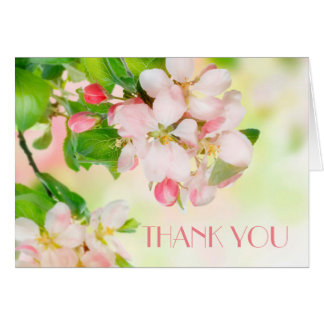 Spring Pink Blossom Branch Danke Karte