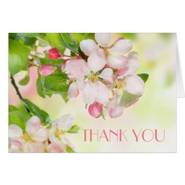Spring Pink Blossom Branch Danke Karte (Vorderseite (Horizontal))