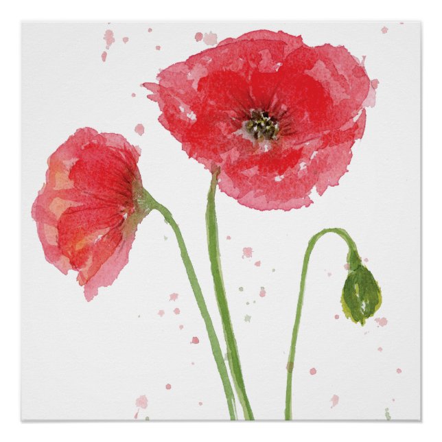 Spring Poppies Poster (Vorderseite)