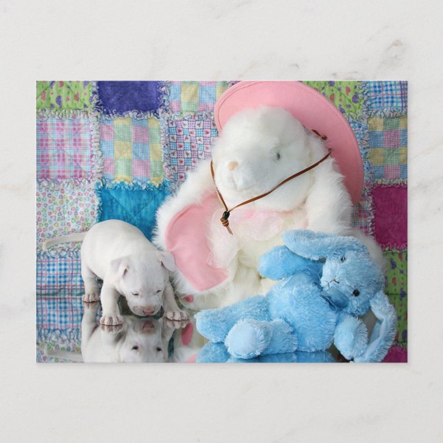 Spring Puppy Liebe Postkarte (Vorderseite)