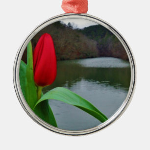Spring Red Tulip at Lake Arrowhead Ornament Aus Metall
