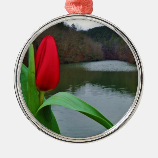 Spring Red Tulip at Lake Arrowhead Ornament Aus Metall (Vorne)