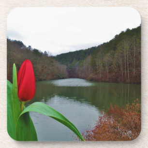 Spring Red Tulip at Lake Arrowhead Untersetzer