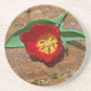 Spring Red Tulip Getränkeuntersetzer