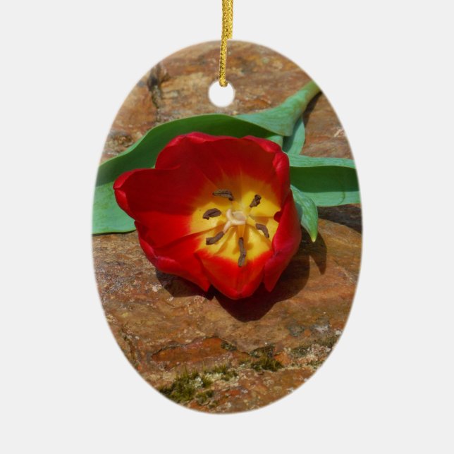 Spring Red Tulip Keramikornament (Vorne)