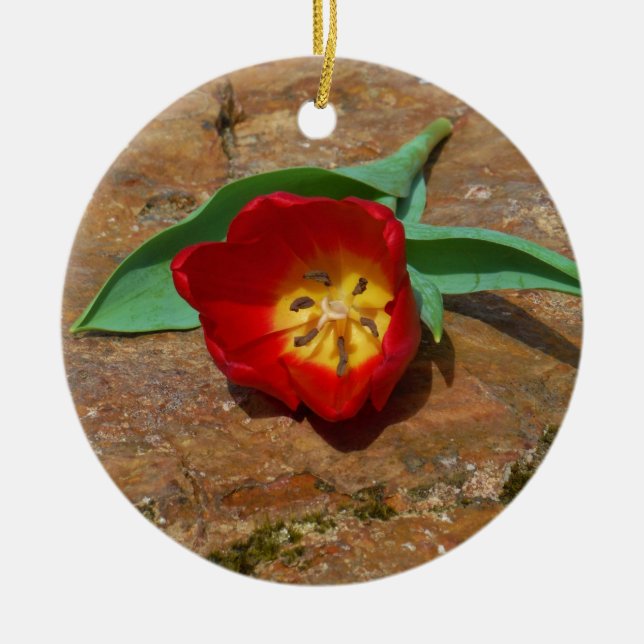 Spring Red Tulip Keramikornament (Vorne)