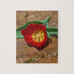 Spring Red Tulip Puzzle