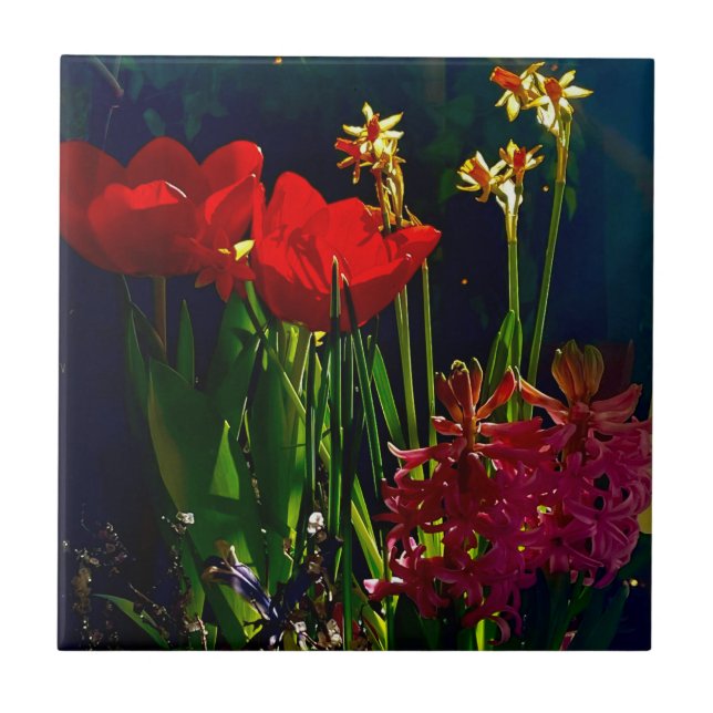 Spring Red Tulips Tile Fliese (Vorderseite)