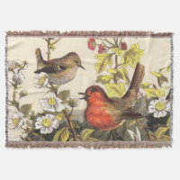 Spring Robin Birds Red Vogelbeobachtung