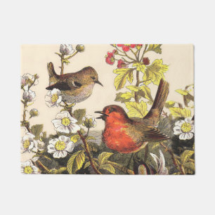 Spring Robin Birds Red Vogelbeobachtung Fußmatte