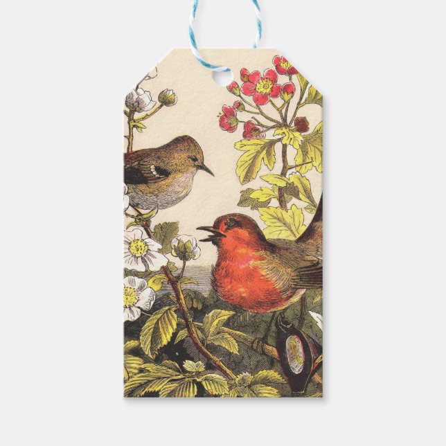 Spring Robin Birds Red Vogelbeobachtung Geschenkanhänger (Vorderseite)