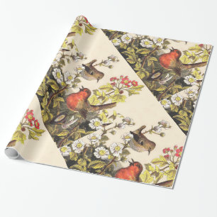 Spring Robin Birds Red Vogelbeobachtung Geschenkpapier