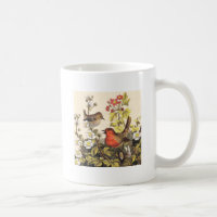 Spring Robin Birds Red Vogelbeobachtung