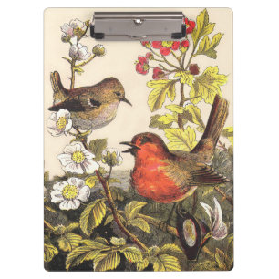 Spring Robin Birds Red Vogelbeobachtung Klemmbrett