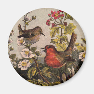 Spring Robin Birds Red Vogelbeobachtung Magnet