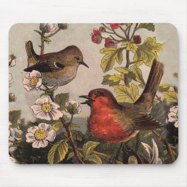Spring Robin Birds Red Vogelbeobachtung Mousepad (Vorne)