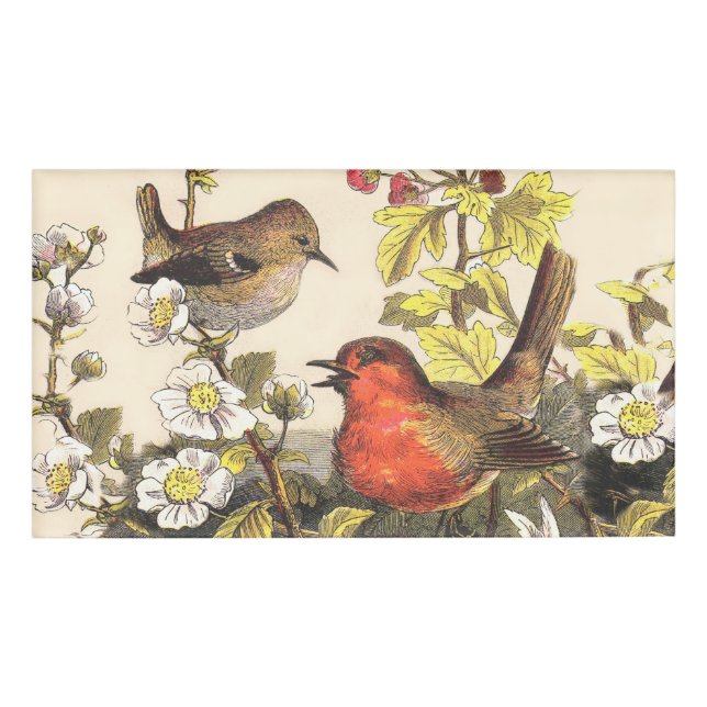Spring Robin Birds Red Vogelbeobachtung Namenschild (Vorderseite)