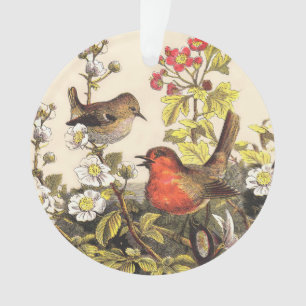 Spring Robin Birds Red Vogelbeobachtung Ornament
