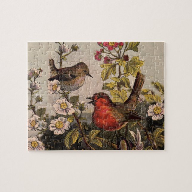 Spring Robin Birds Red Vogelbeobachtung Puzzle (Horizontal)