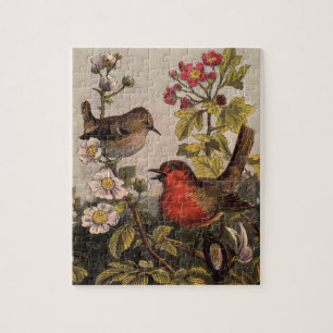 Spring Robin Birds Red Vogelbeobachtung Puzzle